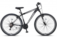 2977 MOTION V