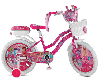 2008 PRINCESS
