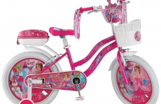 2008 PRINCESS