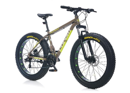 Fat Bike