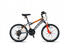 Vortex 3.0 - 24 MTB Erkek - V-Fren