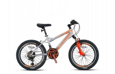 Vortex 4.0 - 20 MTB Erkek - V-Fren