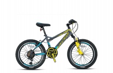 Vortex 4.0 - 24 MTB Erkek - V-Fren