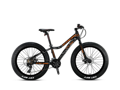 FXC500 - 24 MTB Erkek - M.Disk