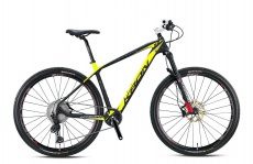 X2 - 29 MTB Erkek - H.Disk