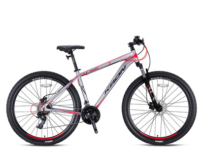 XC100 - 29 MTB Erkek - M.Disk