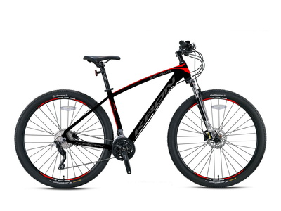 XC1000 - 29 MTB Erkek - H.Disk
