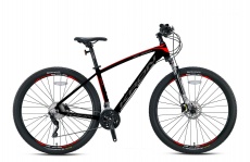 XC1000 - 29 MTB Erkek - H.Disk